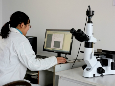 Metallographic Analyzer
